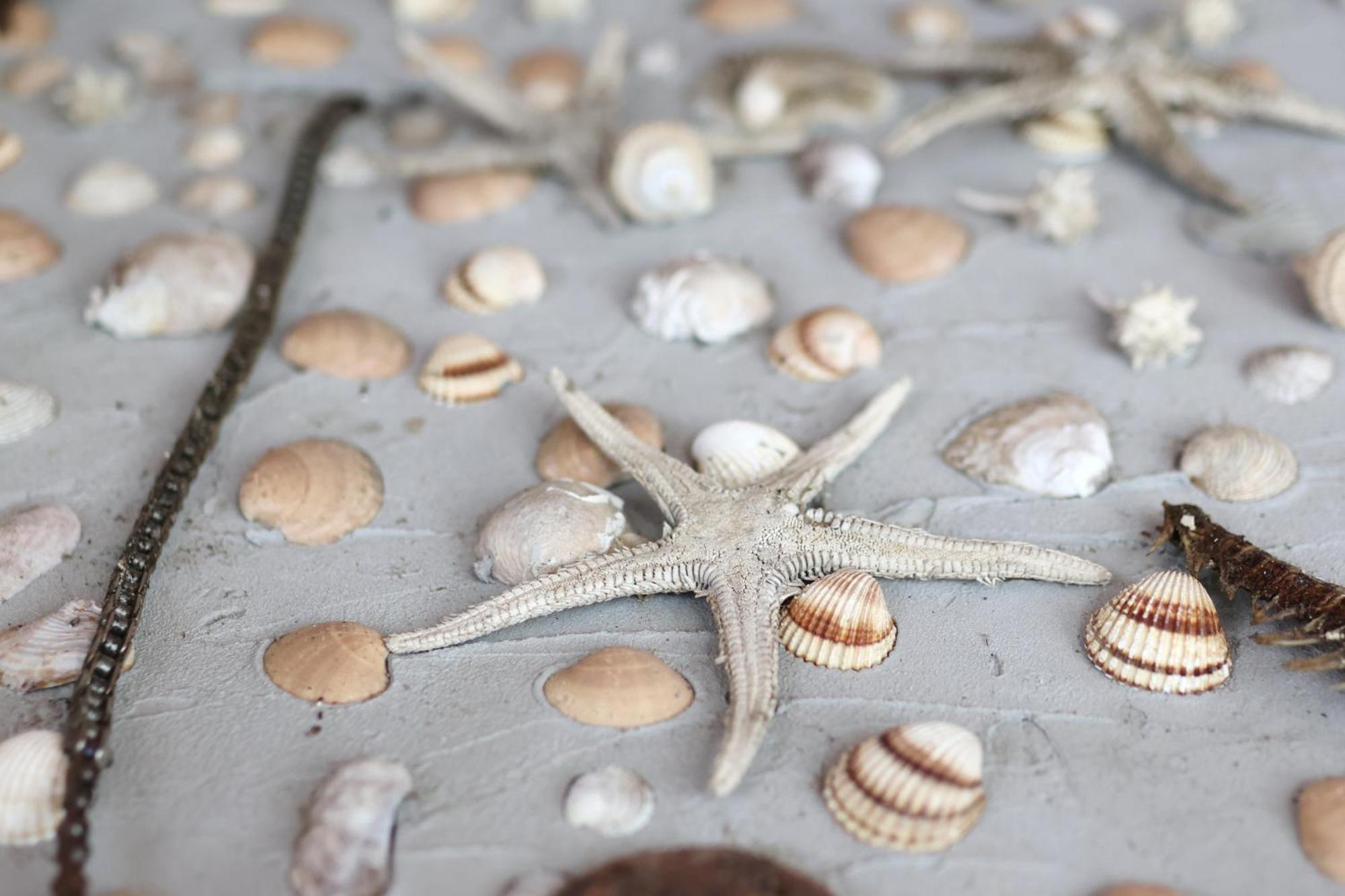 Sea Relaxing Apartment บาร์บินเย ภายนอก รูปภาพ